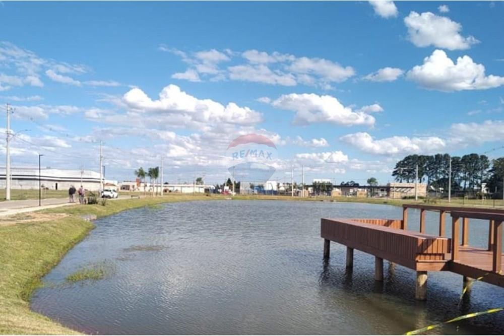 Terreno - Venda - Pelotas , Rio Grande do Sul - WhatsApp Image 2024-12-12 at 09.38.30 (3)2.jpg - 610211060-8