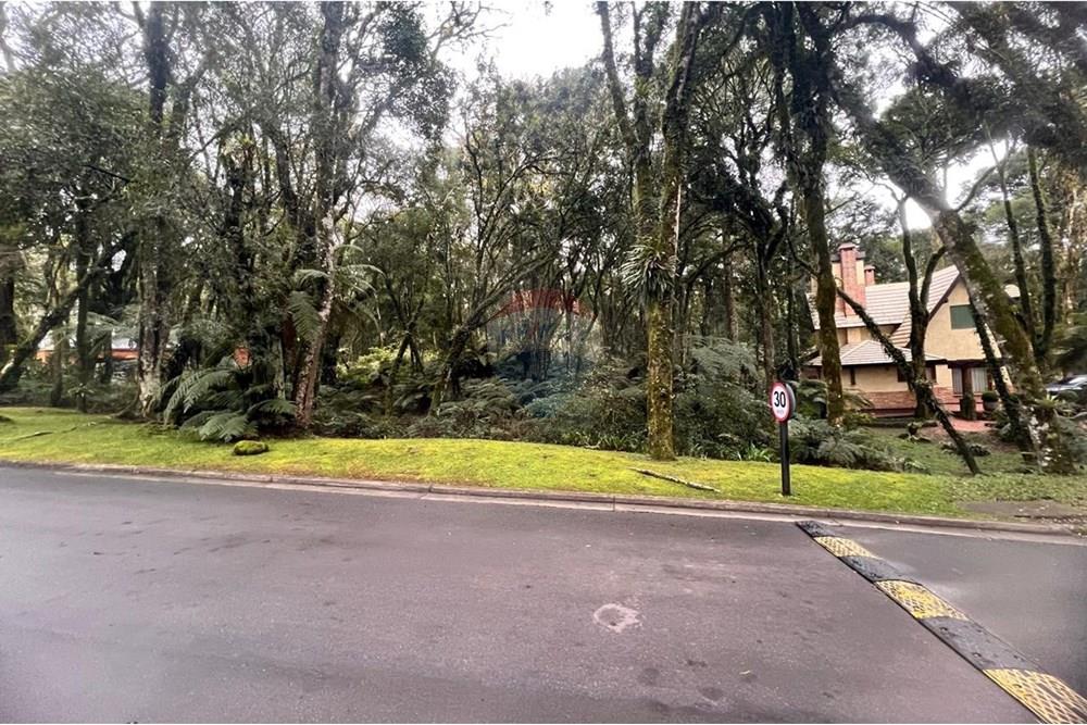 Terreno - Venda - Gramado , Rio Grande do Sul - WhatsApp Image 2024-12-12 at 06.37.30 (16).jpeg - 610131034-40
