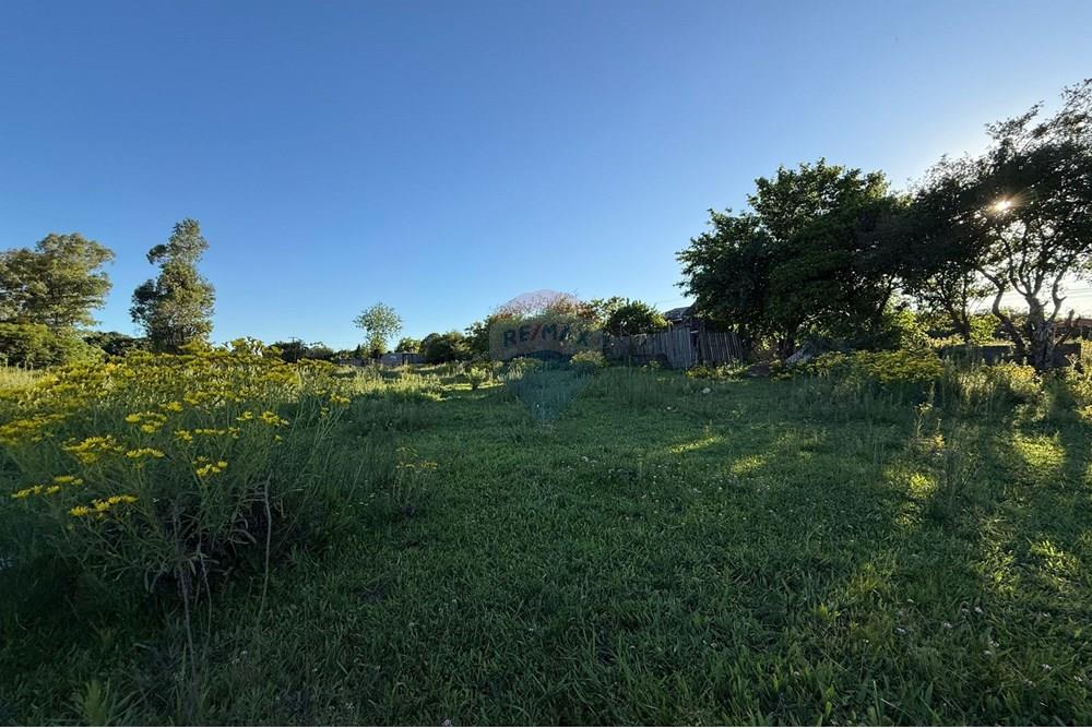 Terreno - Venda - São Gabriel , Rio Grande do Sul - Imagem do WhatsApp de 2025-10-16 à(s) 14.42.38_fdd8f63f.jpg - 612631024-78