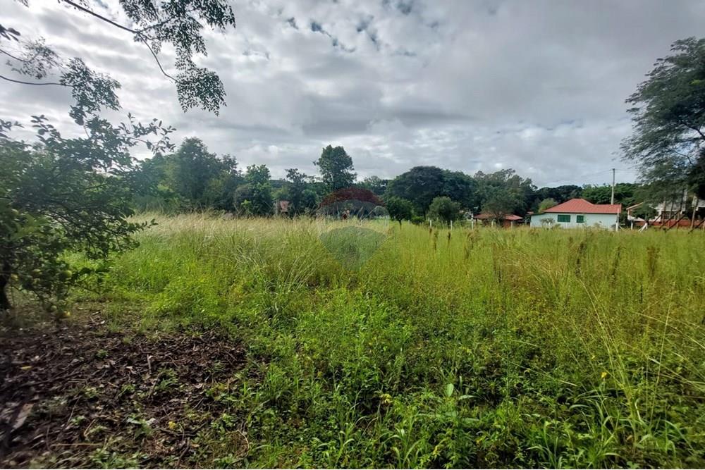 Ponto Comercial/ Loja - Alugar - Passo Fundo , Rio Grande do Sul - WhatsApp Image 2025-04-09 at 11.08.55 (3).jpeg - 610271045-1117