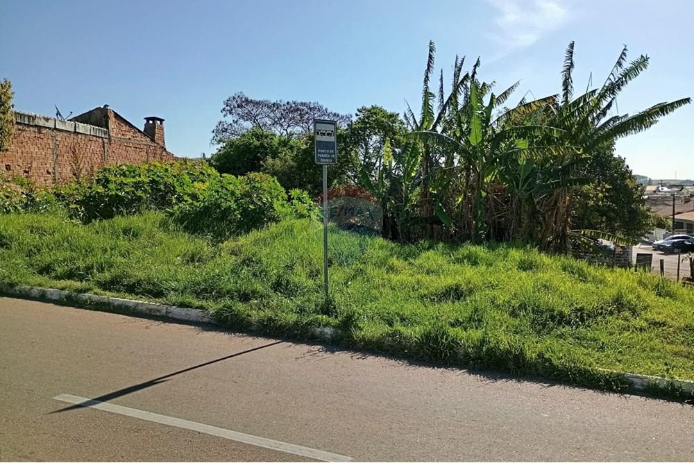Terreno - Venda - Guaíba , Rio Grande do Sul - Imovel8.jpeg - 612781010-15