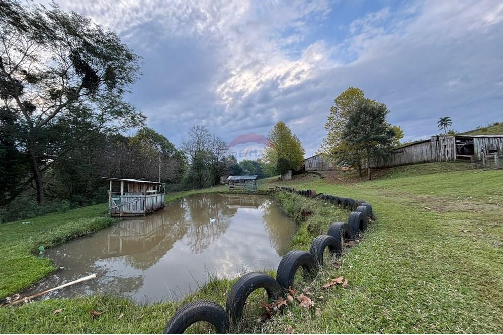 Chácara / Sítio / Fazenda - Venda - Sarandi , Rio Grande do Sul - WhatsApp Image 2025-06-06 at 17.20.42 (2).jpeg - 610341006-377