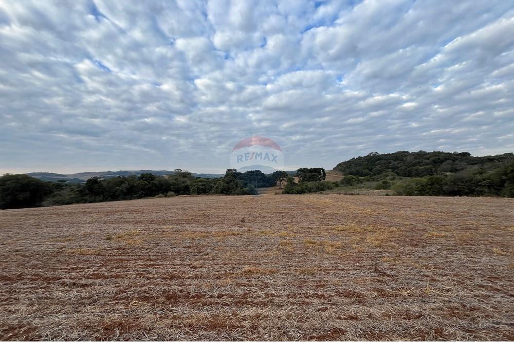 Fazenda - Venda - Lagoa Vermelha , Rio Grande do Sul - IMG_2562.JPG - 610111017-1