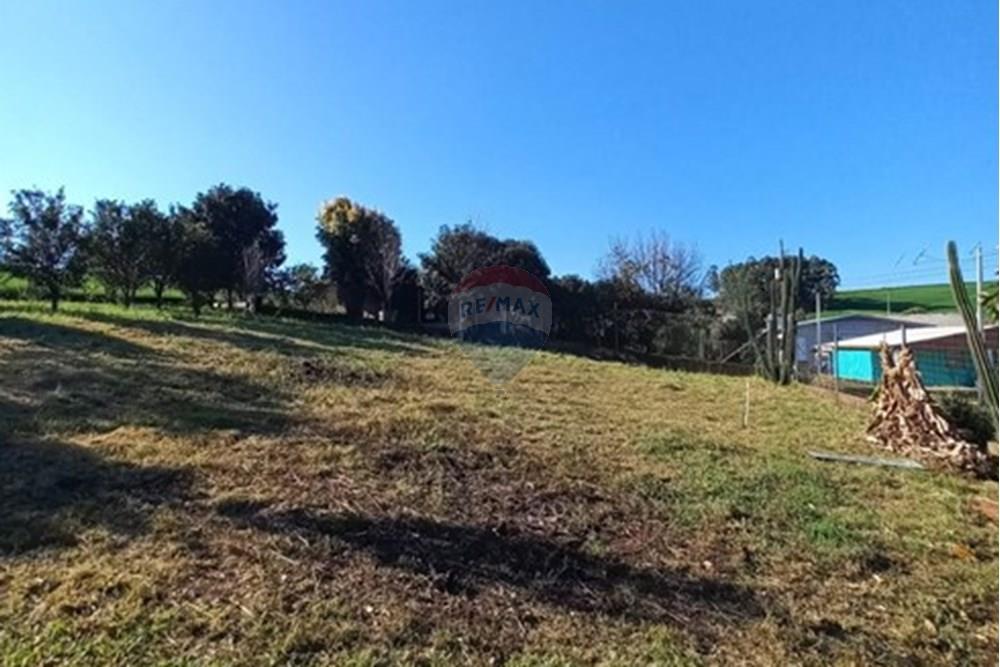 Terreno - Venda - Entre Rios do Sul , Rio Grande do Sul - WhatsApp Image 2025-09-10 at 00.59.35.jpeg - 610231035-3