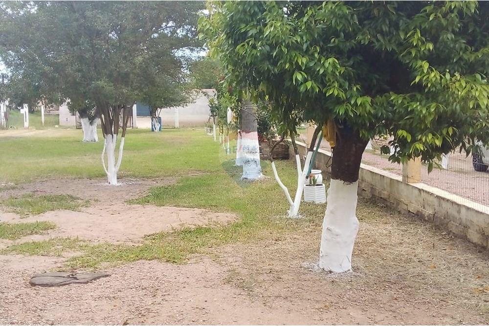 Casa Comercial - Alugar - Eldorado do Sul , Rio Grande do Sul - WhatsApp Image 2025-02-14 at 16.22.49.jpeg - 612551005-100