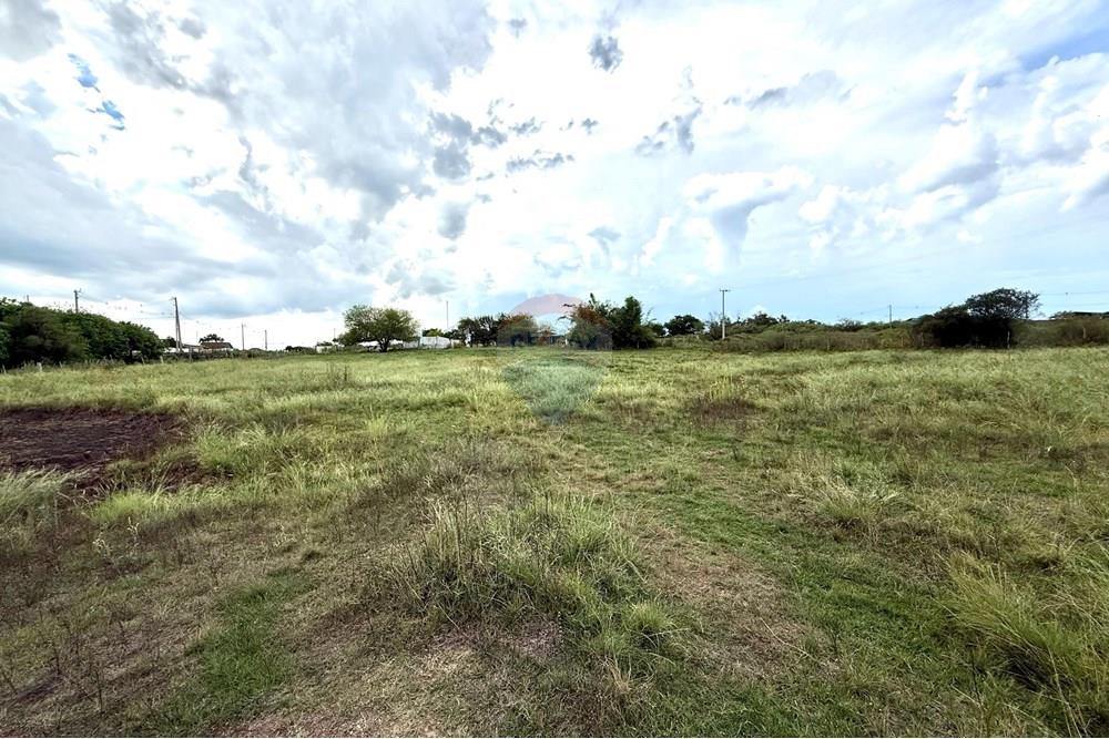 Chácara / Sítio / Fazenda - Venda - São Gabriel , Rio Grande do Sul - Imagem do WhatsApp de 2025-02-26 à(s) 22.07.16_0b8bca0a.jpg - 612631046-2