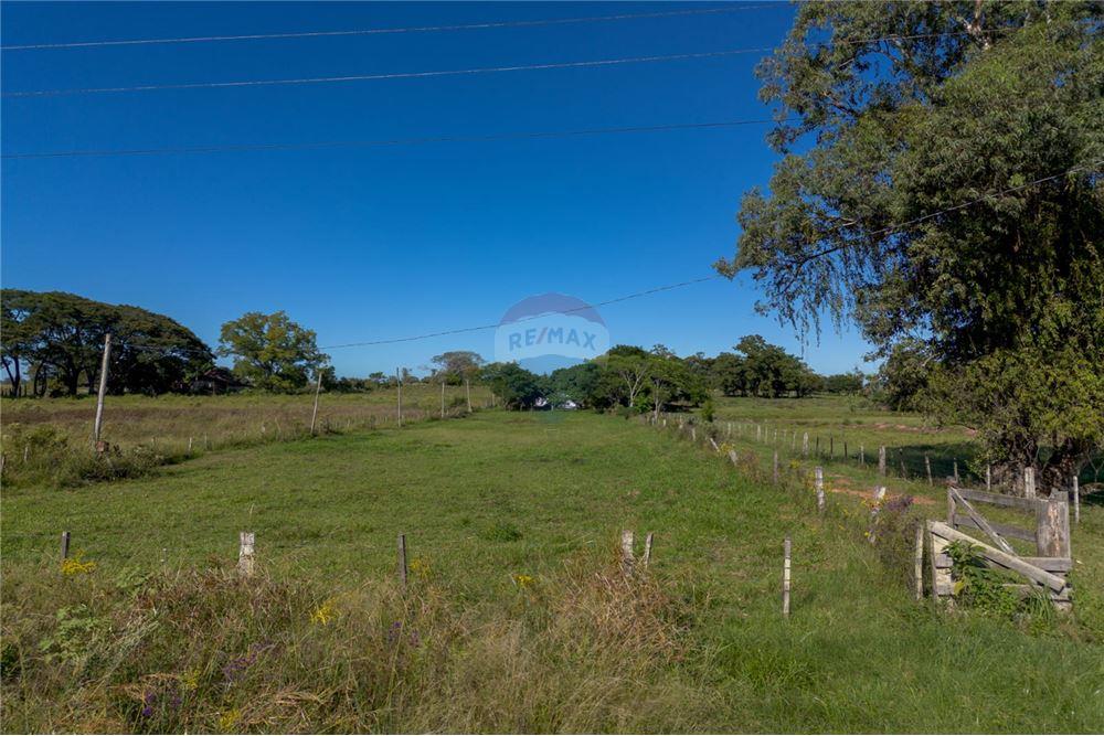 Chácara / Sítio / Fazenda - Venda - Santa Maria , Rio Grande do Sul - 11 - 610311056-76