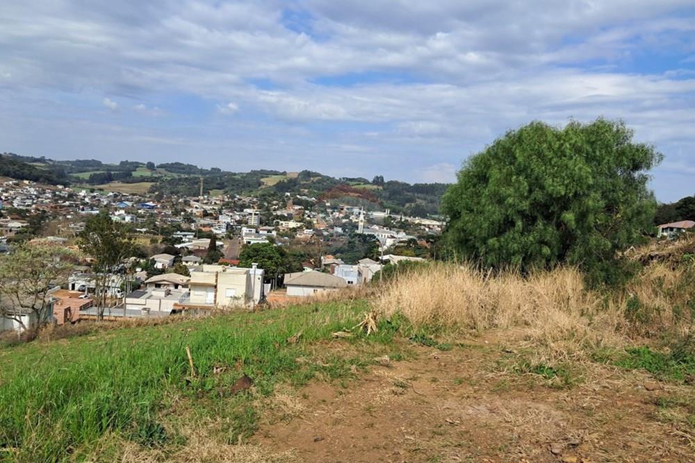 Terreno - Venda - Barão de Cotegipe , Rio Grande do Sul - 1459f46c-96fe-416a-8384-282bf473f82e.jpg - 612761034-3