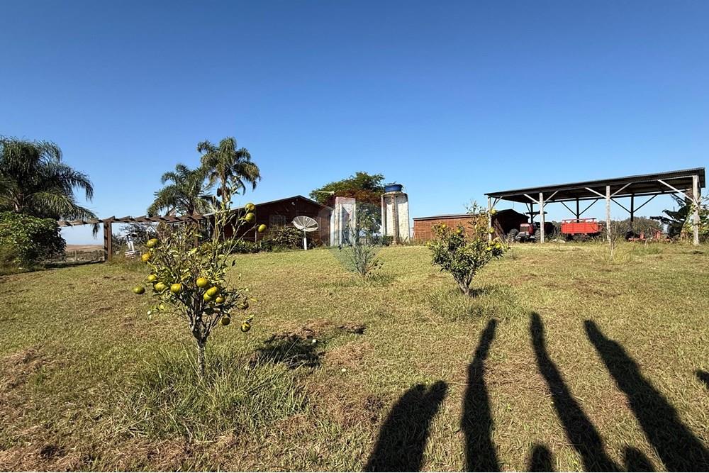 Chácara / Sítio / Fazenda - Venda - São Gabriel , Rio Grande do Sul - Imagem do WhatsApp de 2025-06-27 à(s) 23.51.32_7aba3442.jpg - 612631046-8