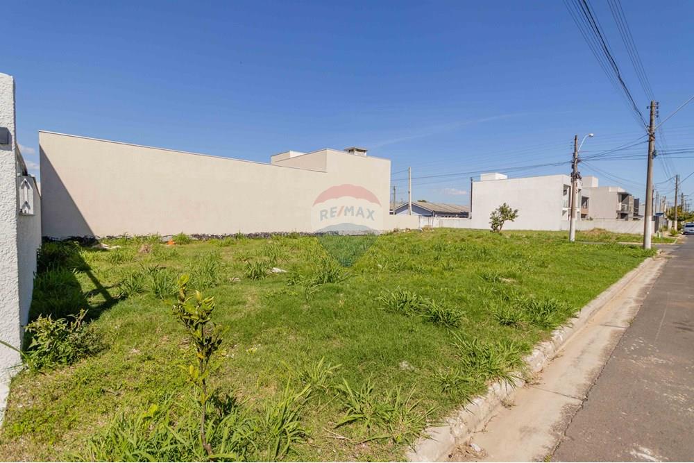 Terreno - Venda - Gravataí , Rio Grande do Sul - IMG_4354.jpg - 610141006-146