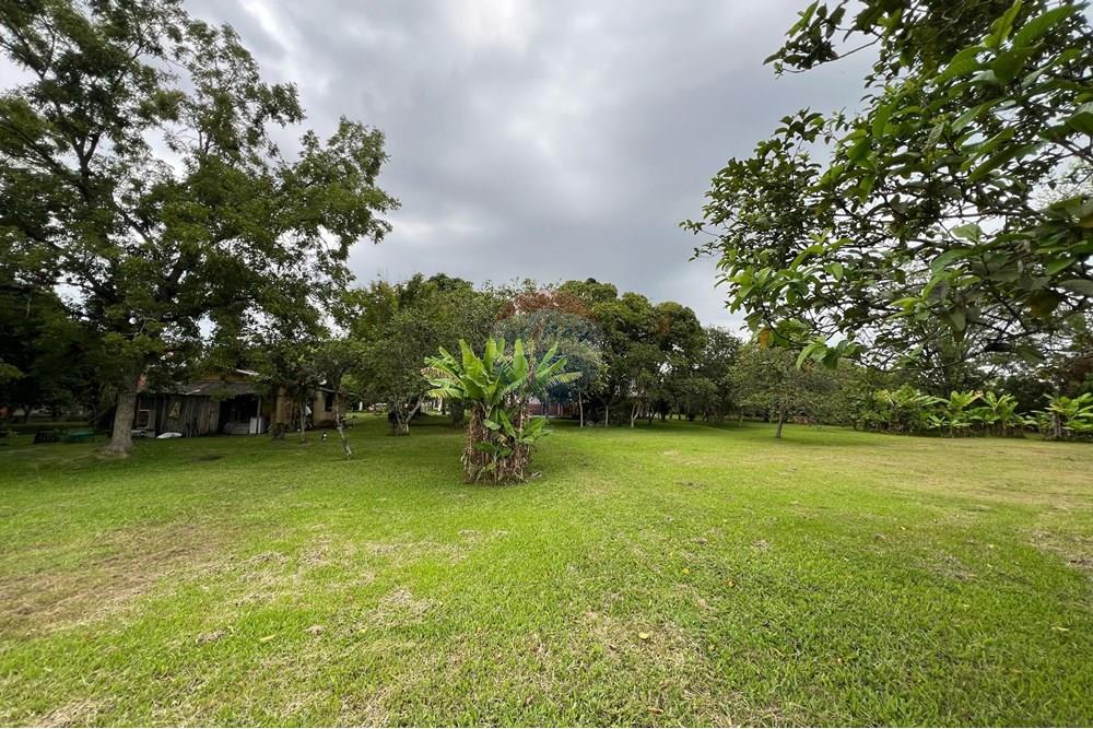 Chácara / Sítio / Fazenda - Venda - Glorinha , Rio Grande do Sul - IMG-20250403-WA0102.jpg - 610161100-29