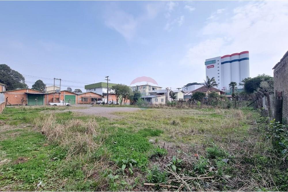 Terreno - Venda - Bento Gonçalves , Rio Grande do Sul - WhatsApp Image 2024-08-16 at 14.04.17.jpeg - 610251001-76