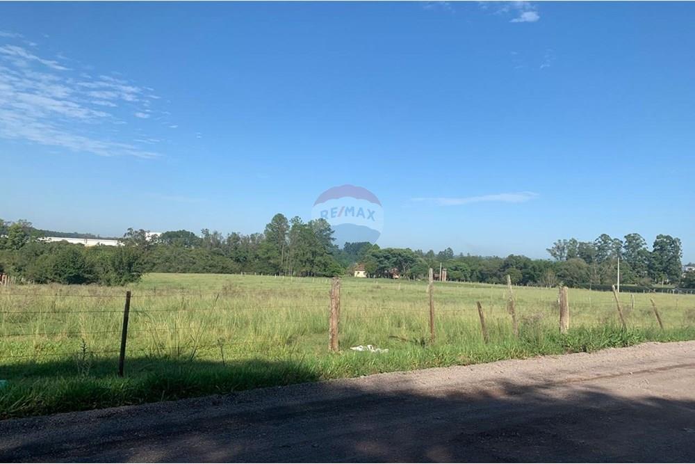 Chácara / Sítio / Fazenda - Venda - Santa Cruz do Sul , Rio Grande do Sul - WhatsApp Image 2025-03-12 at 21.10.30 (2).jpeg - 612741028-22