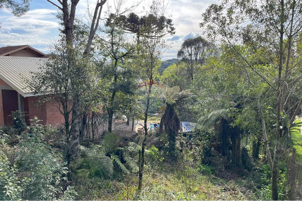 Terreno - Venda - Gramado , Rio Grande do Sul - IMG_4160.jpeg - 610131005-43