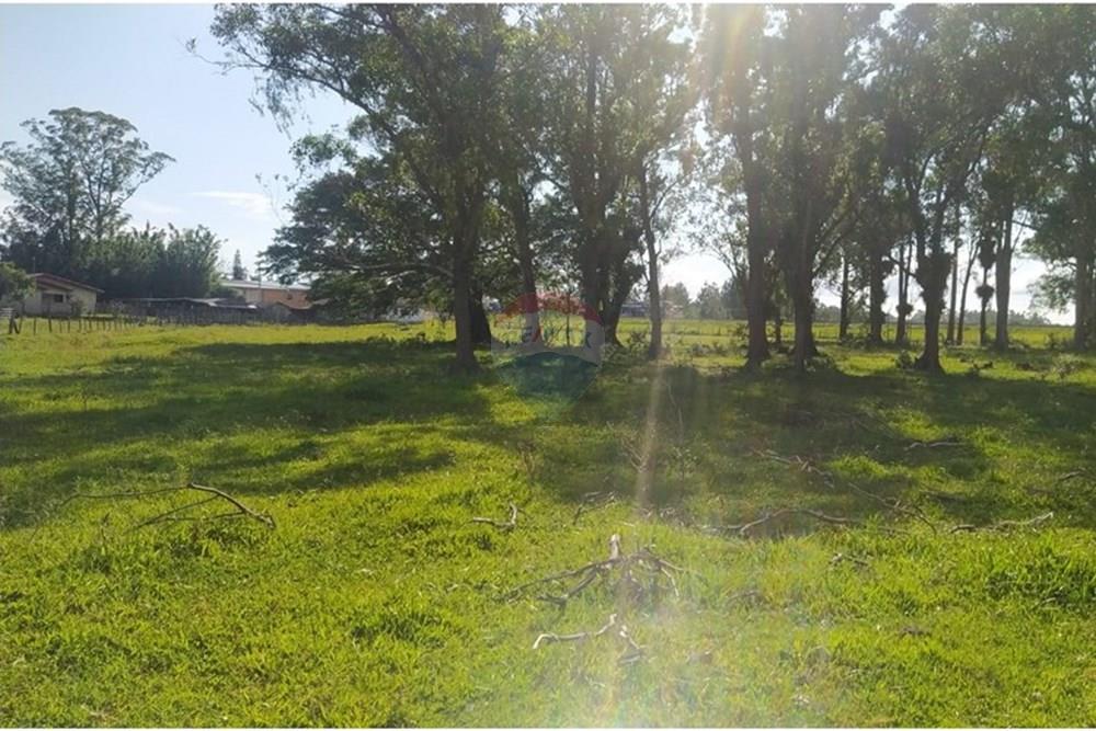 Terreno - Venda - Terra de Areia , Rio Grande do Sul - 4d1282a4-3c66-4c2b-8911-c95da83a4139.jpg - 612671028-42