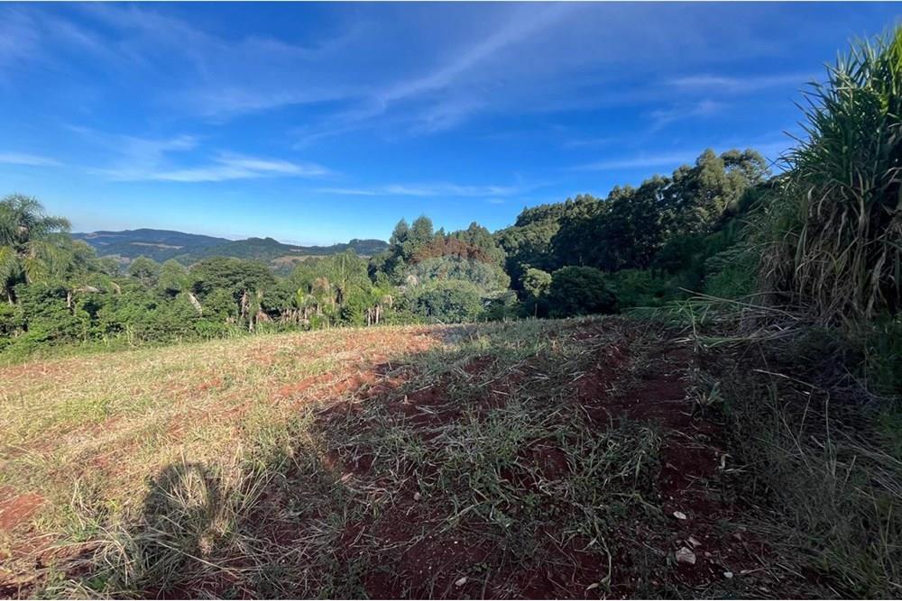 Chácara / Sítio / Fazenda - Venda - Santa Cruz do Sul , Rio Grande do Sul - WhatsApp Image 2025-06-11 at 15.36.18 (1).jpeg - 612741028-54