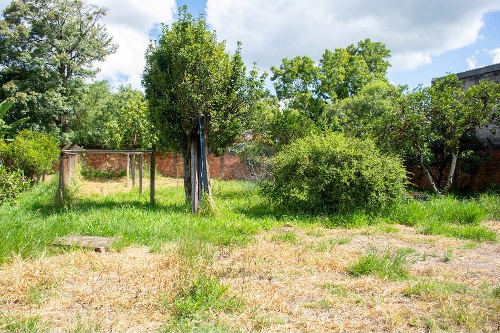 Casa Comercial - Venda - Cachoeirinha , Rio Grande do Sul - WhatsApp Image 2025-02-14 at 17.13.26.jpeg - 612551005-102