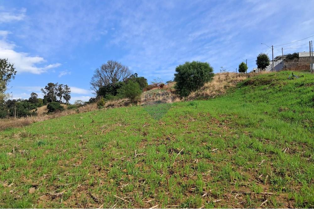 Terreno - Venda - Barão de Cotegipe , Rio Grande do Sul - 922fb51f-2ef3-47de-969c-af0900e0772a.jpg - 612761034-3