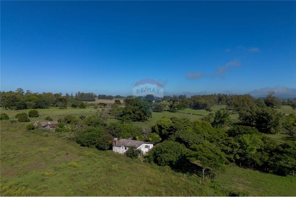 Chácara / Sítio / Fazenda - Venda - Santa Maria , Rio Grande do Sul - 13 - 610311056-76