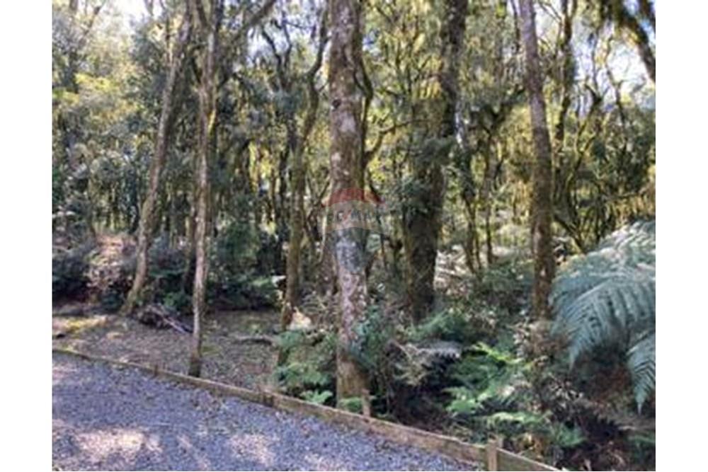 Terreno - Venda - São Francisco de Paula , Rio Grande do Sul - IMG_5510_2.thumbnail.jpg - 610131051-11