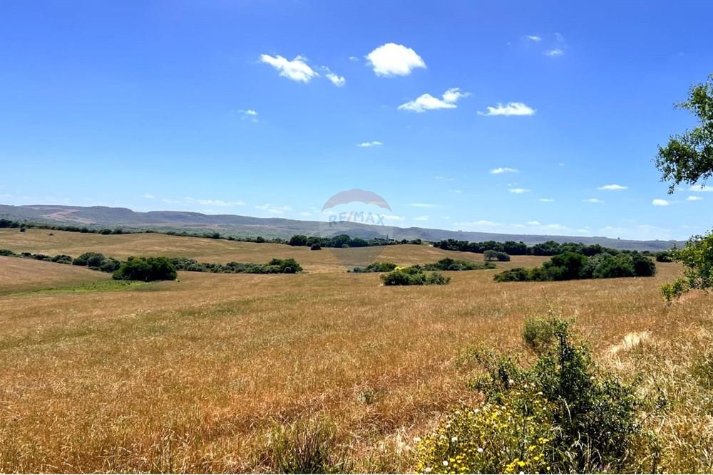 Chácara - Venda - Lavras do Sul , Rio Grande do Sul - WhatsApp Image 2025-01-13 at 23.09.27.jpeg - 612631031-7