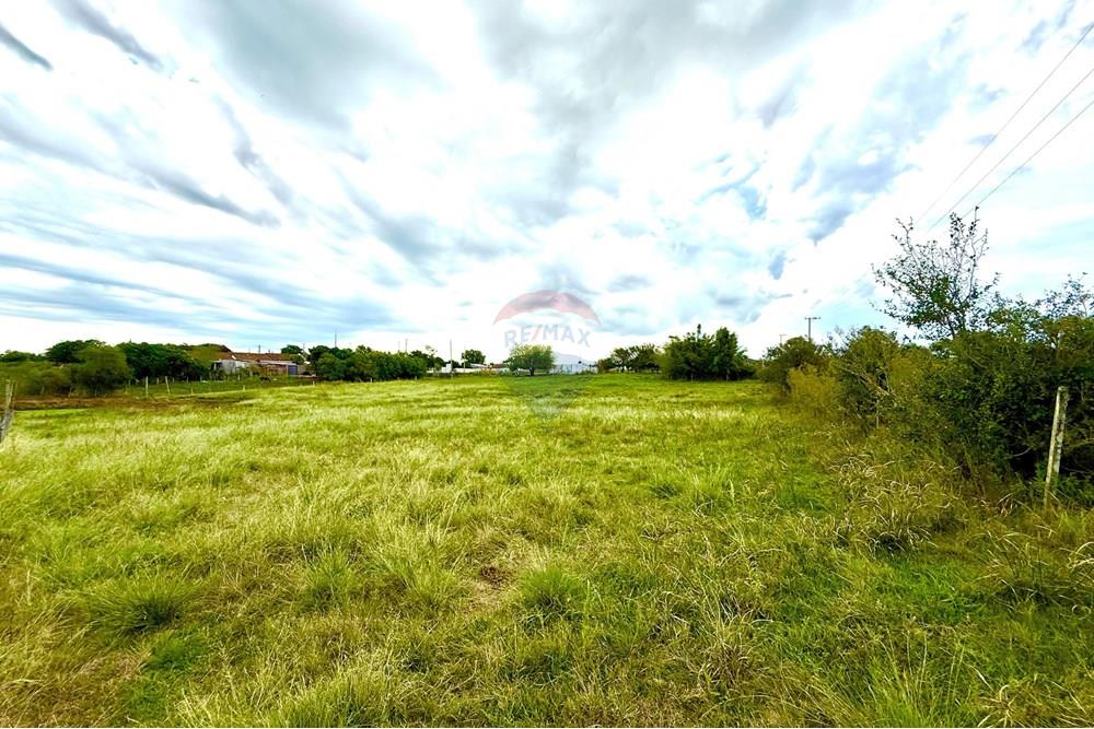 Chácara / Sítio / Fazenda - Venda - São Gabriel , Rio Grande do Sul - Imagem do WhatsApp de 2025-02-26 à(s) 22.07.13_3d62b888.jpg - 612631046-2