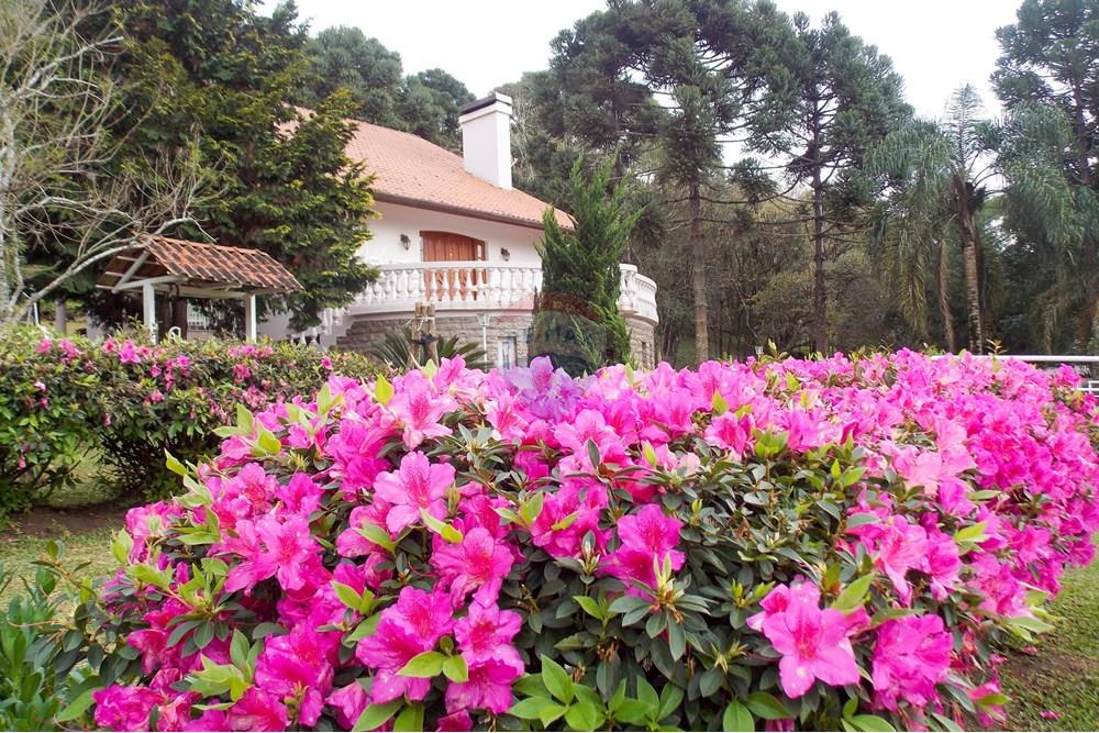 Casa - Venda - Flores da Cunha , Rio Grande do Sul - 9 casa.jpg - 610301006-63