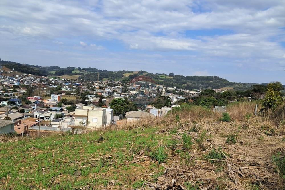 Terreno - Venda - Barão de Cotegipe , Rio Grande do Sul - 3a2950c1-b7b7-4490-912f-4eb4a4be0795.jpg - 612761034-3
