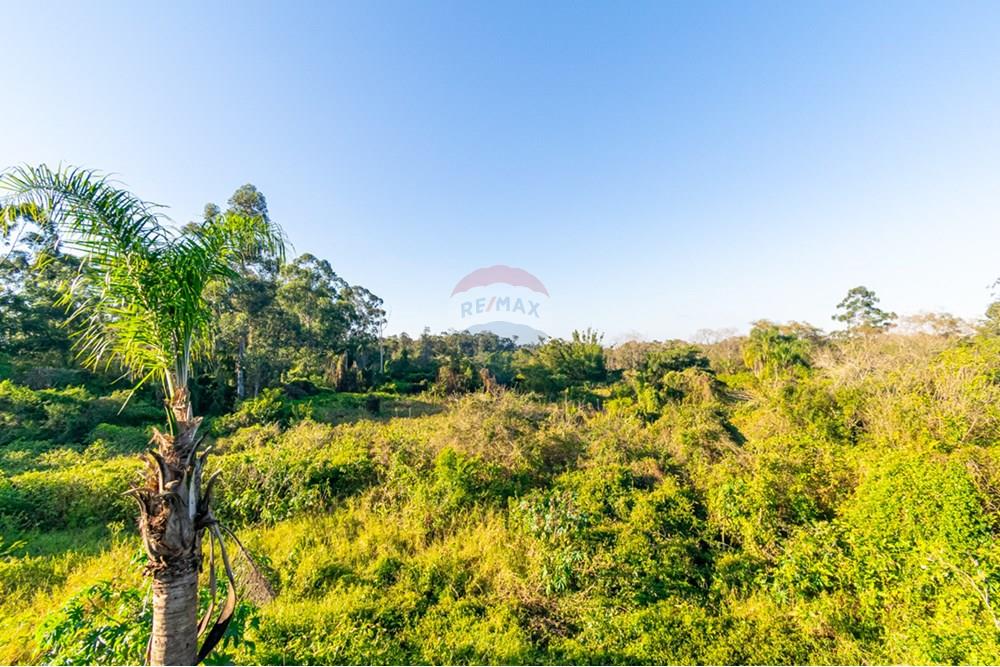 Apartamento - Venda - Gravataí , Rio Grande do Sul - _DSC5966.jpg - 610161090-12