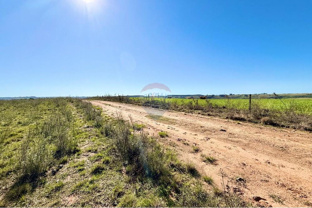 Chácara / Sítio / Fazenda - Venda - Santa Margarida do Sul , Rio Grande do Sul - WhatsApp Image 2025-06-25 at 09.09.54.jpeg - 612631001-60