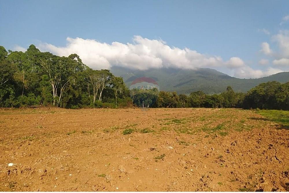 Terreno - Venda - Terra de Areia , Rio Grande do Sul - 150becd1-716f-42a6-8ce1-d7232525c08e.jpg - 612671028-42