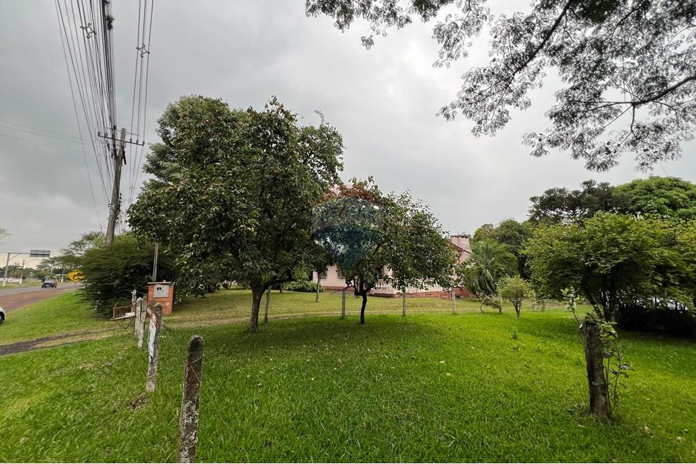 Chácara / Sítio / Fazenda - Venda - Glorinha , Rio Grande do Sul - IMG-20250403-WA0116.jpg - 610161100-29