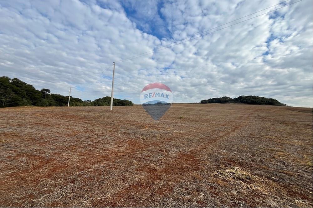 Fazenda - Venda - Lagoa Vermelha , Rio Grande do Sul - L_f8f95ac0-59ec-46b0-a045-1e59766e6d15.jpg - 610111017-1