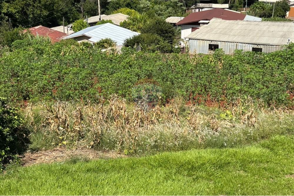 Casa - Venda - Constantina , Rio Grande do Sul - WhatsApp Image 2025-01-24 at 10.30.55.jpeg - 610341005-67