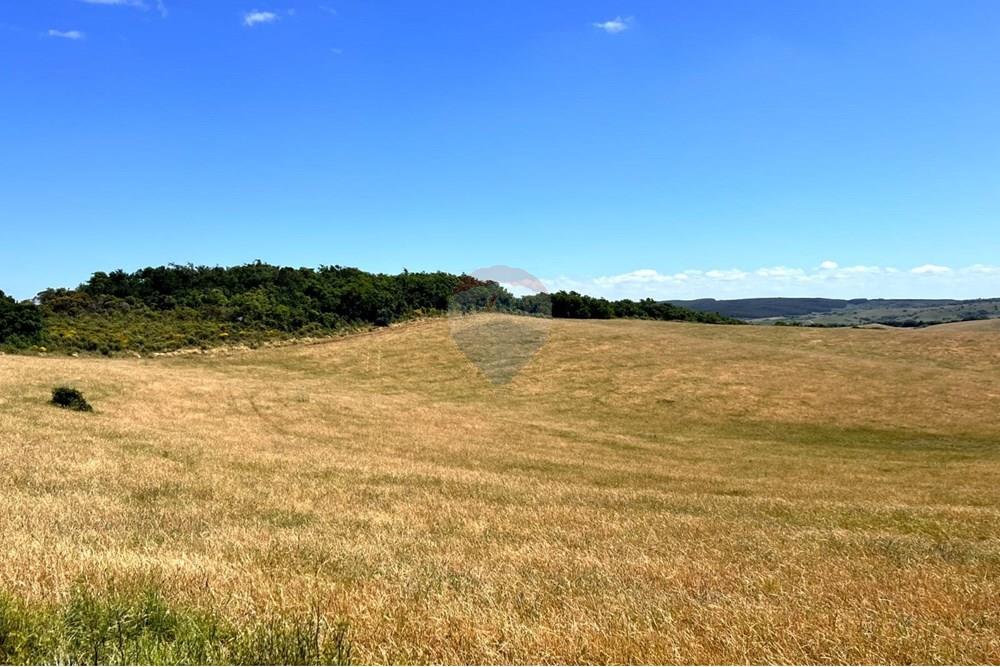 Chácara - Venda - Lavras do Sul , Rio Grande do Sul - WhatsApp Image 2025-01-13 at 23.12.18.jpeg - 612631031-7