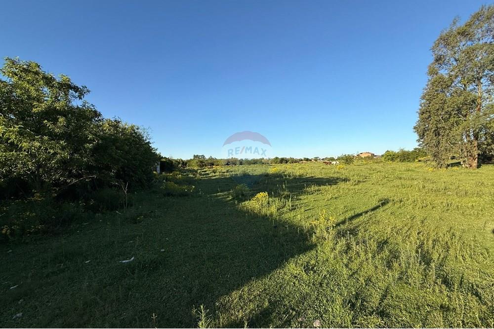 Terreno - Venda - São Gabriel , Rio Grande do Sul - Imagem do WhatsApp de 2025-10-16 à(s) 14.42.39_0a62f429.jpg - 612631024-78
