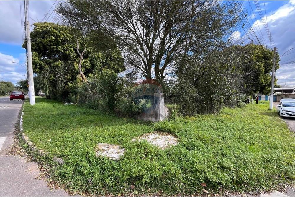 Terreno - Venda - Gravataí , Rio Grande do Sul - IMG-20250811-WA0439.jpg - 610161032-36