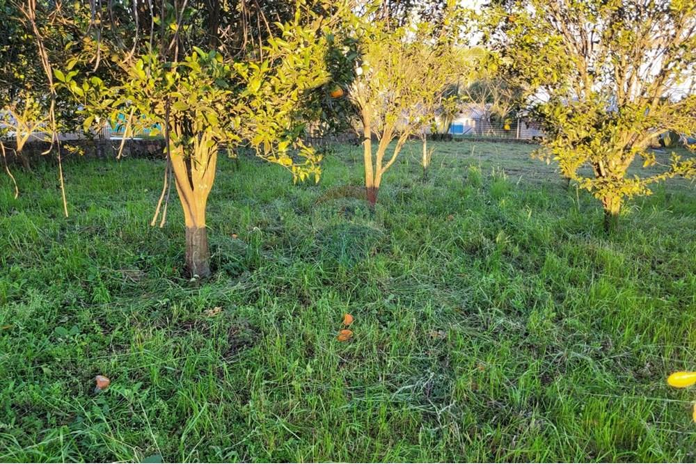 Terreno - Venda - Entre Rios do Sul , Rio Grande do Sul - WhatsApp Image 2025-08-28 at 20.58.52.jpeg - 610231035-3