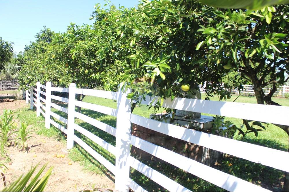 Casa de Campo - Venda - Santo Antônio da Patrulha , Rio Grande do Sul - IMG_3208.JPG - 610161090-7