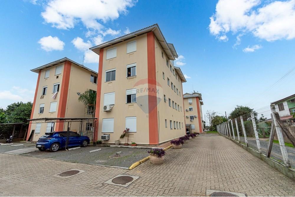 Apartamento - Venda - Gravataí , Rio Grande do Sul - IMG-20250719-WA0195.jpg - 610161100-15