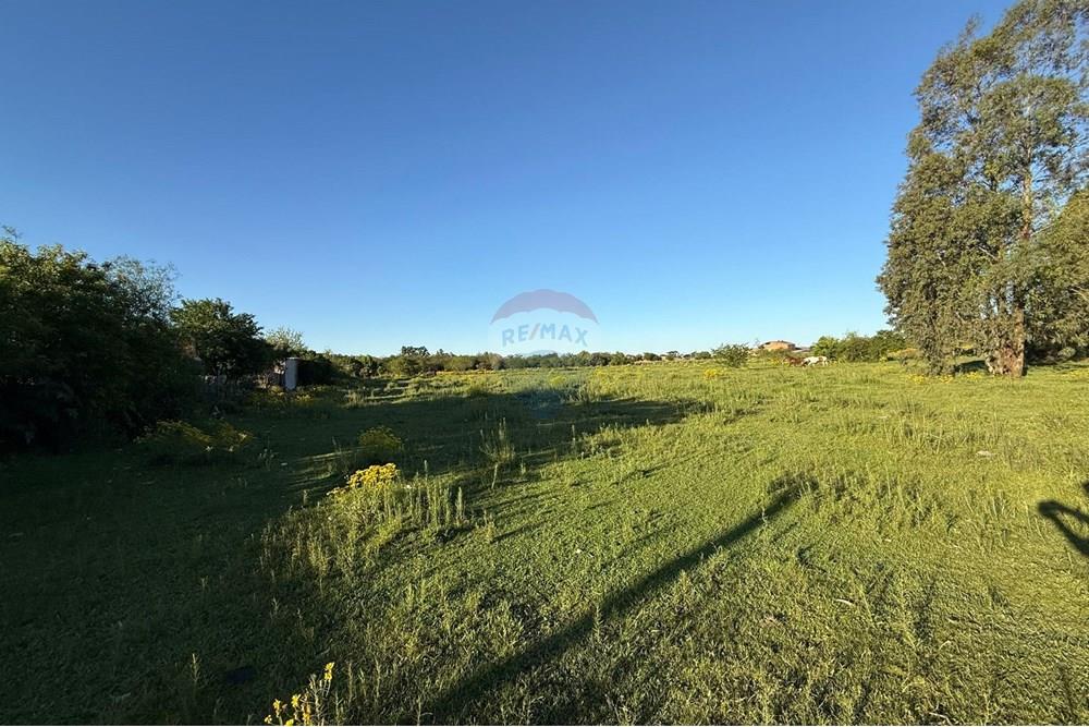 Terreno - Venda - São Gabriel , Rio Grande do Sul - Imagem do WhatsApp de 2025-10-16 à(s) 14.42.39_10413850.jpg - 612631024-78