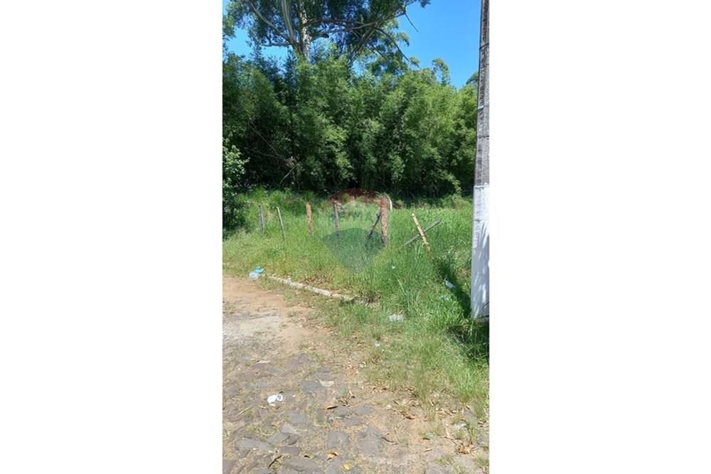 Terreno - Venda - Gravataí , Rio Grande do Sul - WhatsApp Image 2025-01-09 at 16.03.24 (1).jpeg - 610141011-49