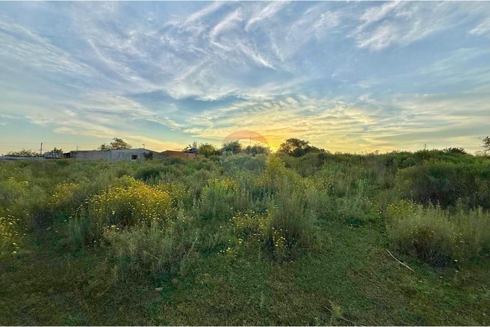 Terreno - Venda - São Gabriel , Rio Grande do Sul - WhatsApp Image 2025-10-24 at 10.48.23.jpeg - 612631001-66