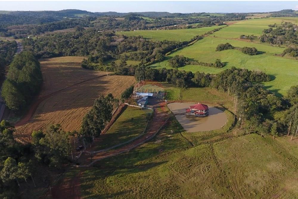 Chácara / Sítio / Fazenda - Venda - Tio Hugo , Rio Grande do Sul - 2108217a-b664-4e06-bad9-2d711ee704bd.jpg - 612621058-40