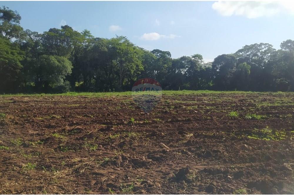 Terreno - Venda - Terra de Areia , Rio Grande do Sul - 9d14e8a5-f5cc-40ec-9efa-a0a728b06e04.jpg - 612671028-42