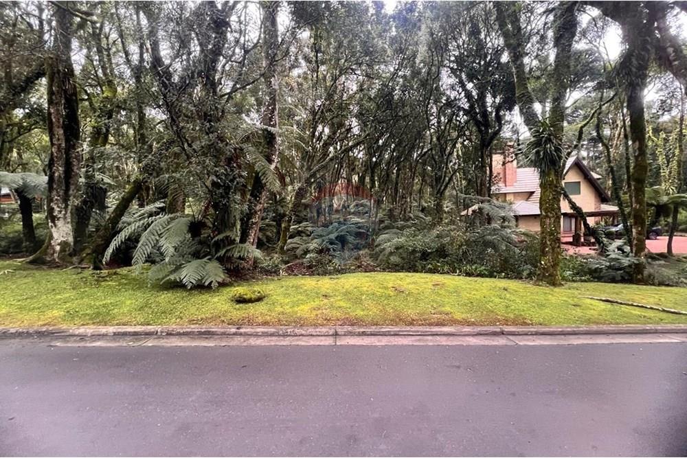 Terreno - Venda - Gramado , Rio Grande do Sul - WhatsApp Image 2024-12-12 at 08.26.57.jpeg - 610131034-40