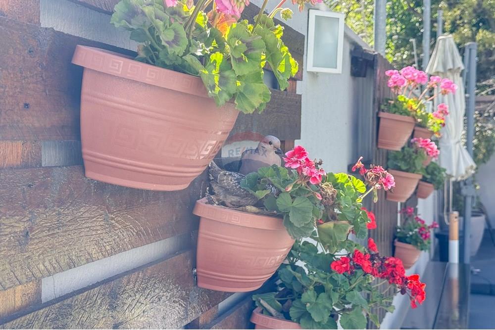 Apartamento - Venda - Passo Fundo , Rio Grande do Sul - IMG_8140.jpg - 610271014-160