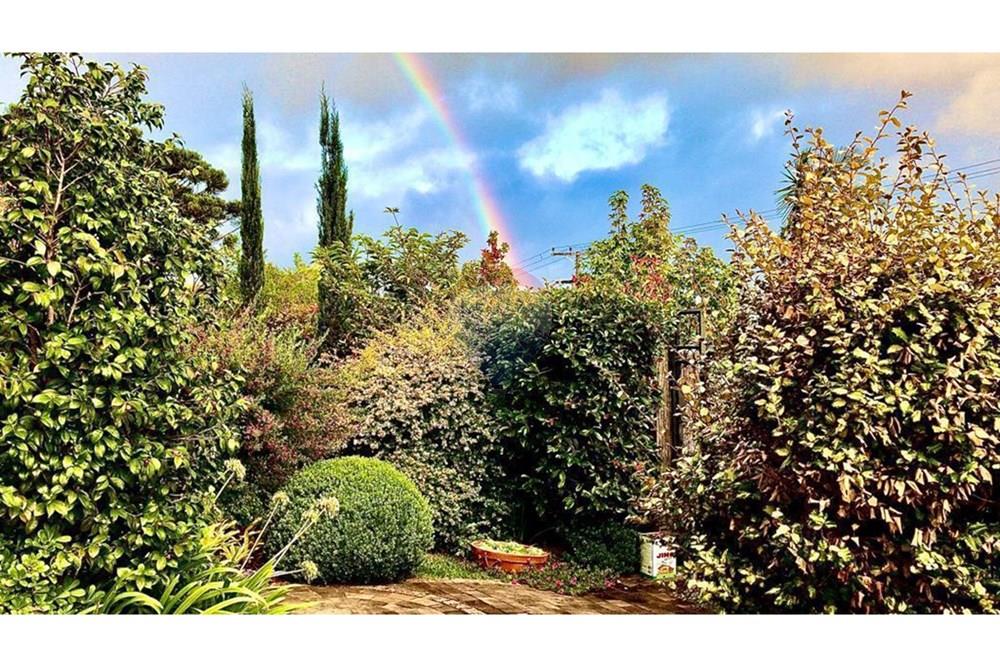 Casa - Venda - Nova Petrópolis , Rio Grande do Sul - WhatsApp Image 2025-08-21 at 15.38.20.jpeg - 610131041-67