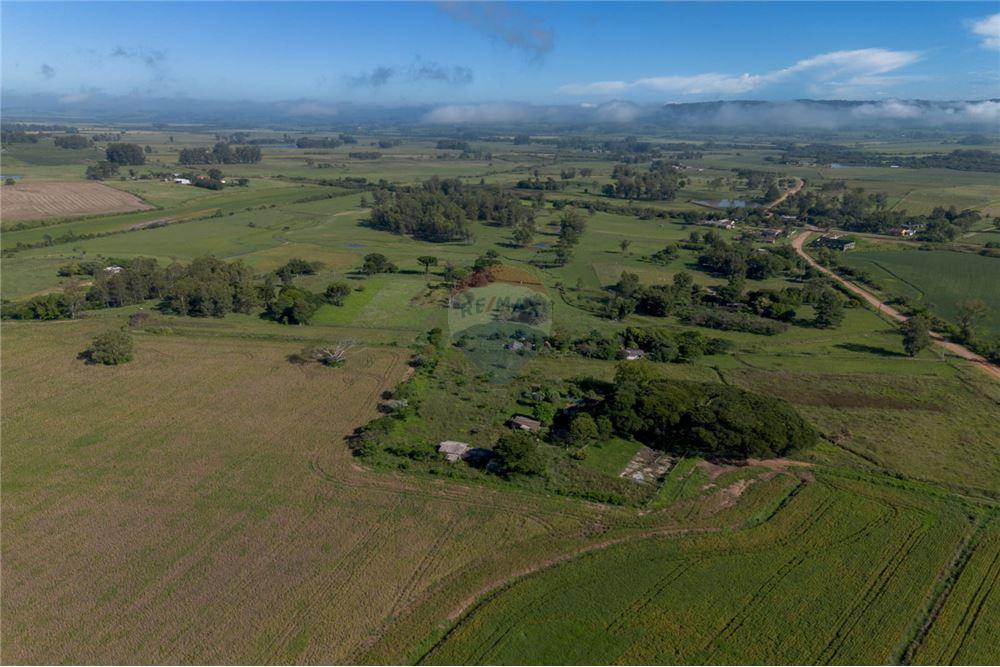 Chácara / Sítio / Fazenda - Venda - Santa Maria , Rio Grande do Sul - 16 - 610311056-76