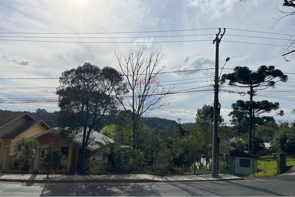 Terreno - Venda - Gramado , Rio Grande do Sul - IMG_4156.jpeg - 610131005-43